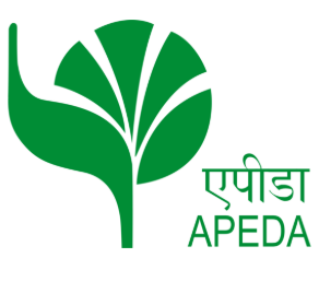 IMPORT EXPORT LICENSE